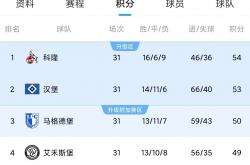 雷速体育网页版-西汉姆联主场大捷，继续坚挺积分榜位置