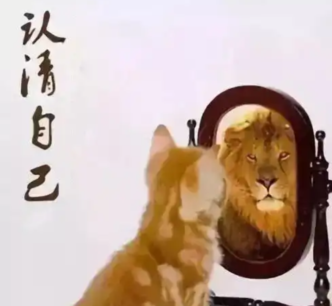 梵蒂冈队精神状态好，迈向下一场成功的简单介绍